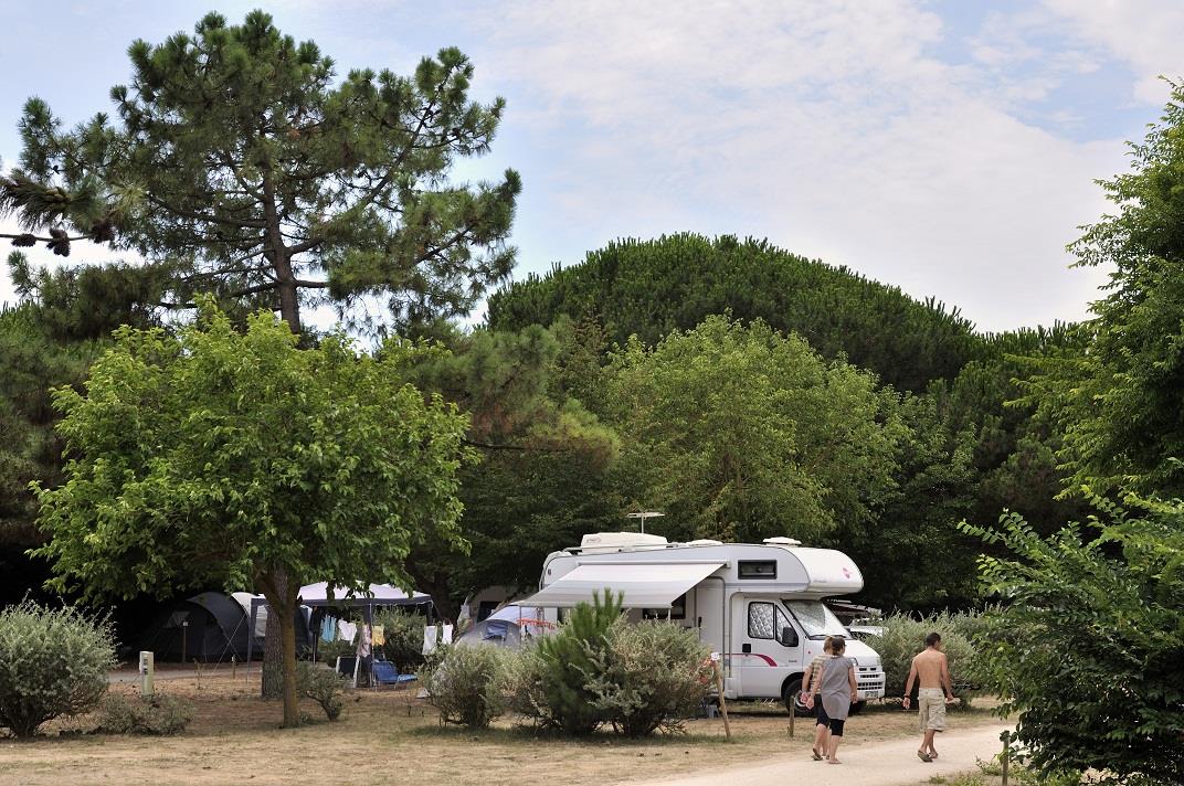 Confort+ standplaats (1 tent, caravan of camper / 1 auto / elektriciteit 10A)
